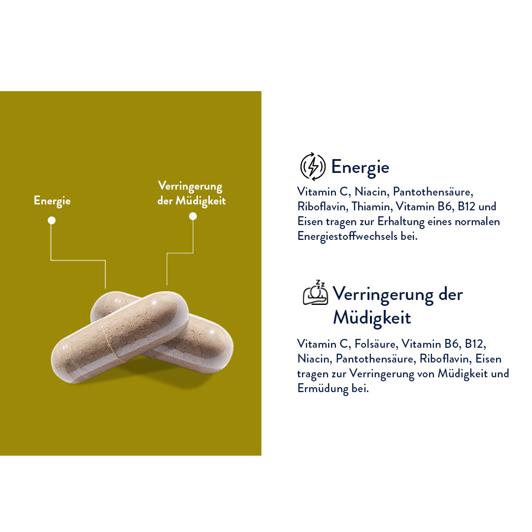 Vitalpilzmischung Energie Splash (30 Kapseln)