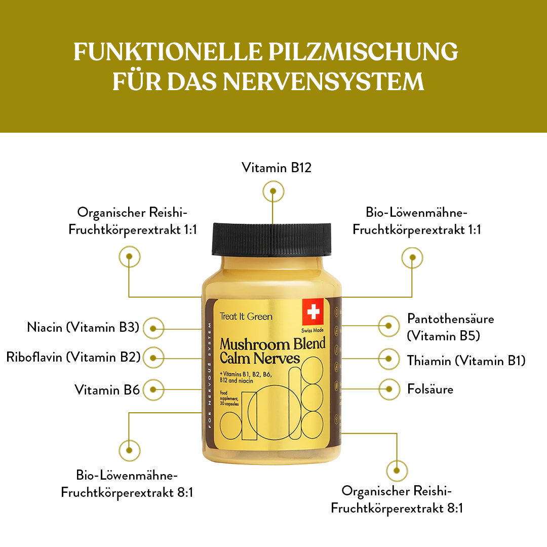Vitalpilzmischung zur Beruhigung der Nerven (30 Kapseln)