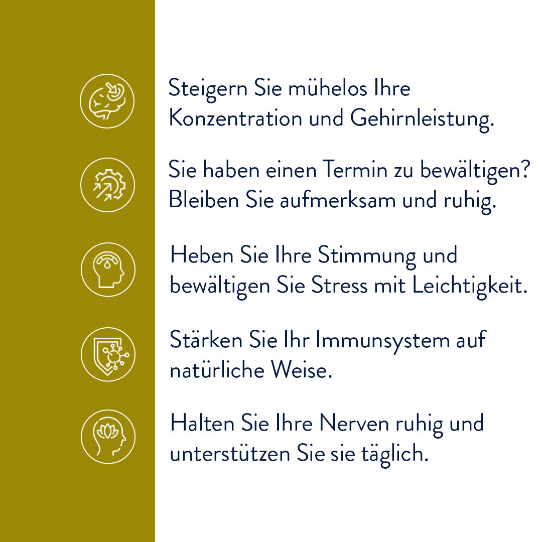 Vitalpilzmischung zur Beruhigung der Nerven (30 Kapseln)