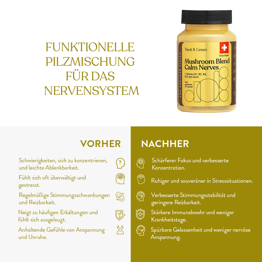 Vitalpilzmischung zur Beruhigung der Nerven (30 Kapseln)