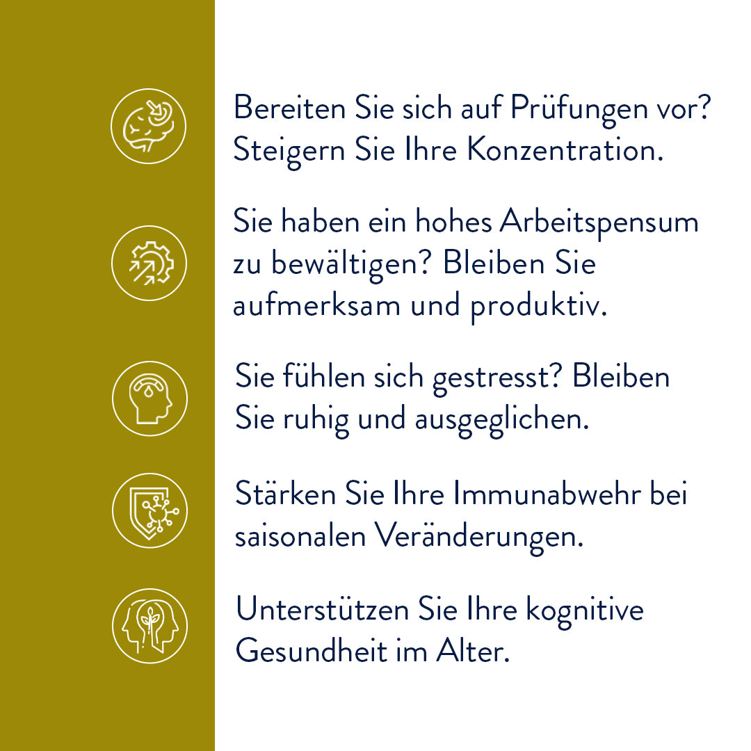 Löwenmähne (30 Kapseln)