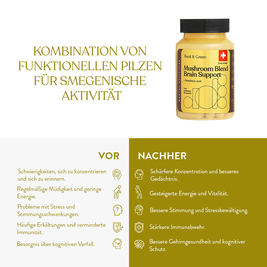 Vitalpilzmischung Gehirnunterstützung (30 Kapseln)